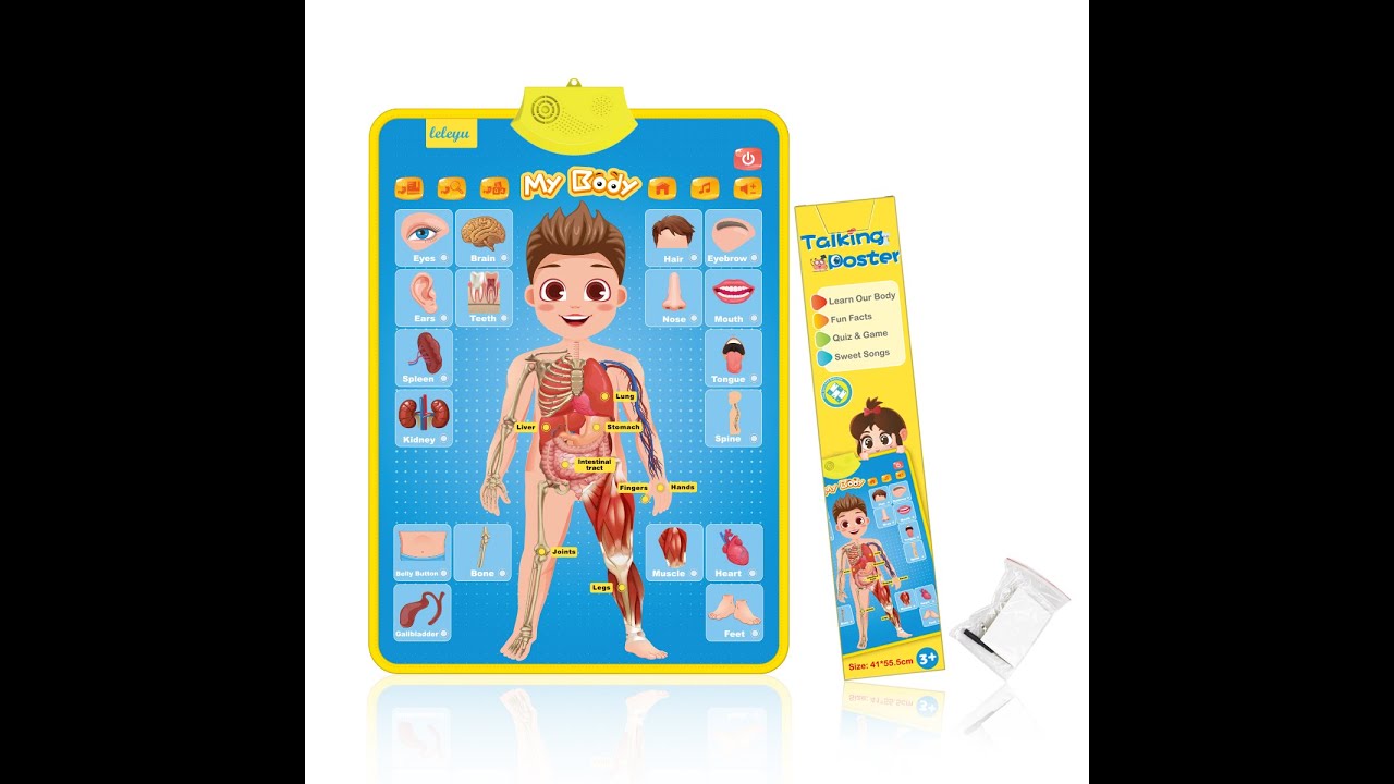 AG03 My Body Talking Poster Interactive Educational Human Anatomy Talking Game to Learn Body Parts