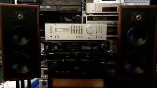 Polk Audio Monitor 5