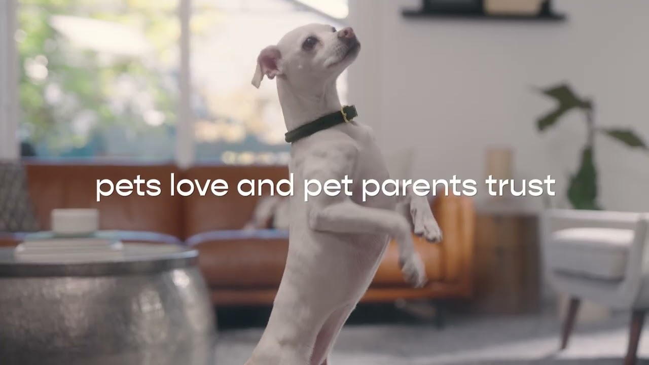 Fresh Food That Pet Parents Trust