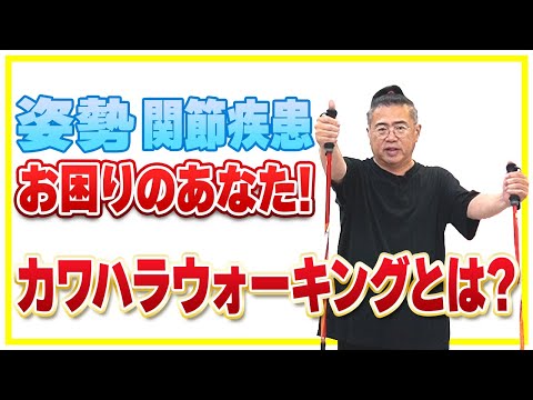 カワハラウォーキングの全てがわかる！ - YouTube