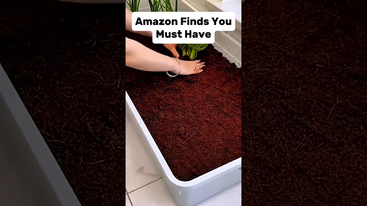 10 моих ЛЮБИМЫХ товаров Amazon 