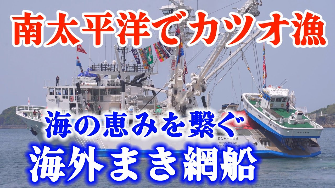 南太平洋でカツオをとる海外まき網船・第81源福丸