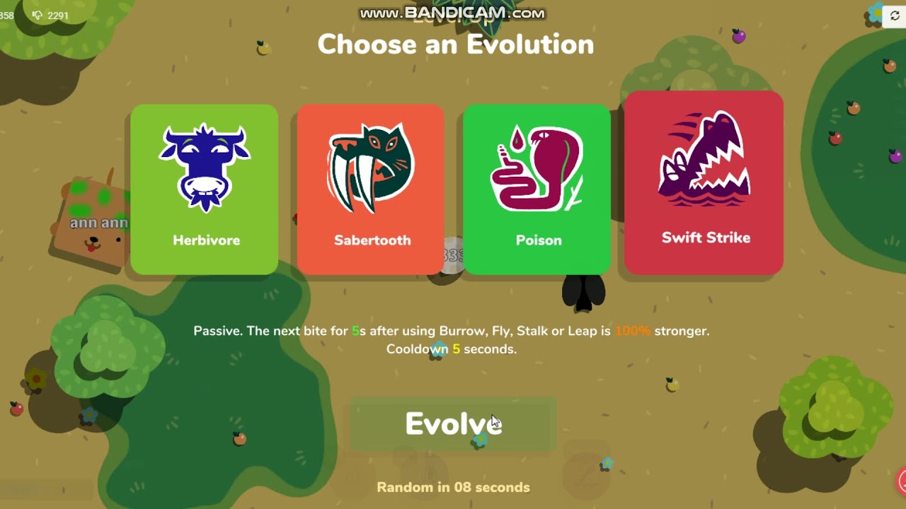 Amino 2222 optimum nutrition. Креатир. Алмакс спортпит. Креатир. Алмакс спортпит.