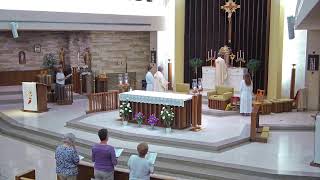 Celebration of Mass - The Solemnity of the Most Holy Body and Blood of Christ, 4:30 PM CDT