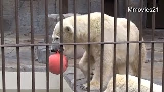 押さないでよ！　ララとマルルのやりとりが面白い