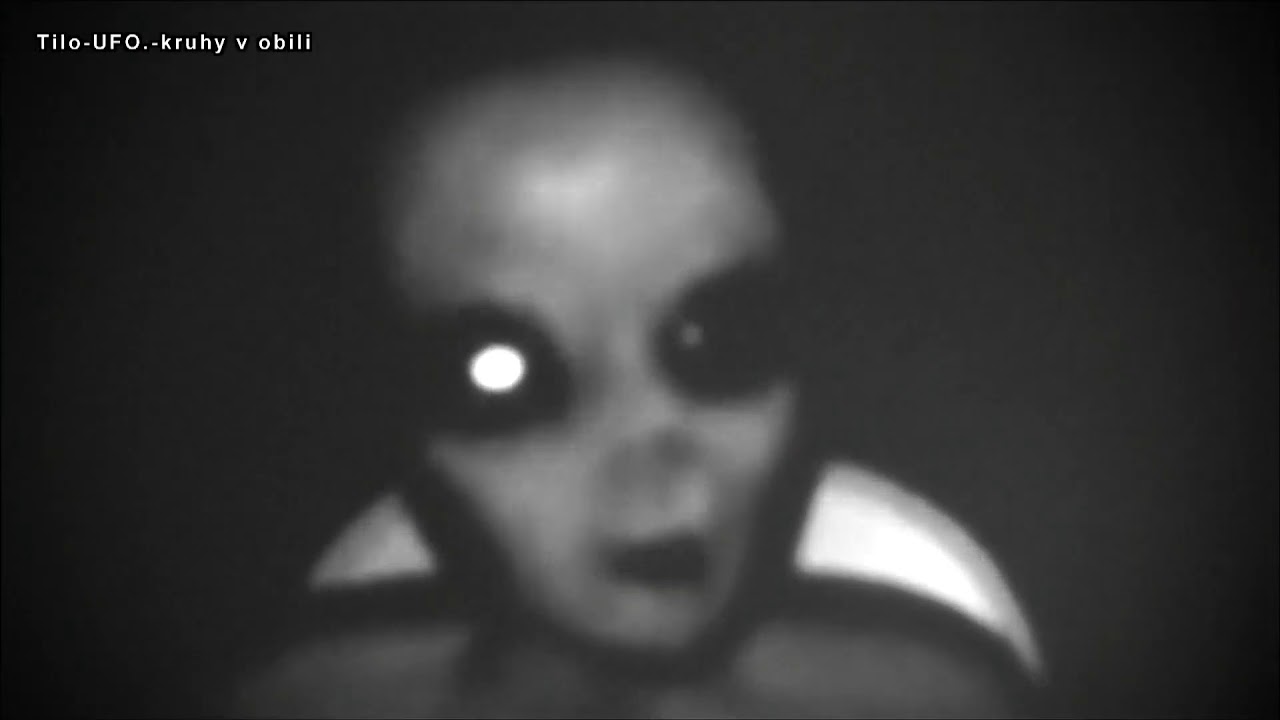 RUSSIAN SECRET BOOK   UFO   ALIEN, Mystery Archives KGB