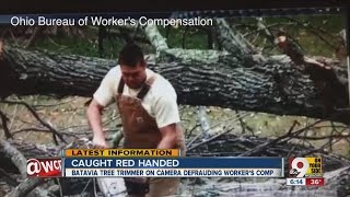 Video catches tree trimmer Josh Cutler in workers' comp fraud, state says