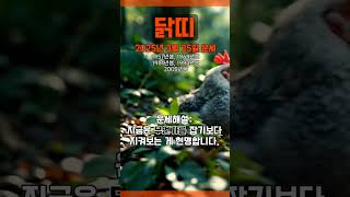 [2025년 3월 25일 닭띠 오늘의운세] 눈 앞에 보이는 듯 하지만 손에 쥘 수는 없다. #닭띠 #운세 #…