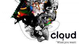 03 Cloud - What You Want (Infiltrators Remix) [Exceptional Records]