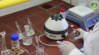 CHEM203 - Experiment 7: Group I cations