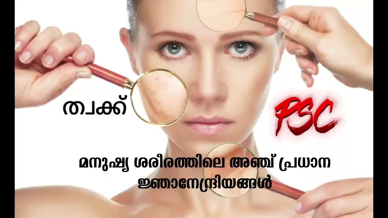 മനുഷ്യ ശരീരത്തിലെ അഞ്ച് പ്രധാന ജ്ഞാനേന്ദ്രിയങ്ങളിൽ - ത്വക്ക് Sense Organs. #keralapsc  #trianglepsc 