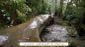 تلاوة خاشعة لآيات من سورة الصافات  _  القارئ رزكار محمد الكردي