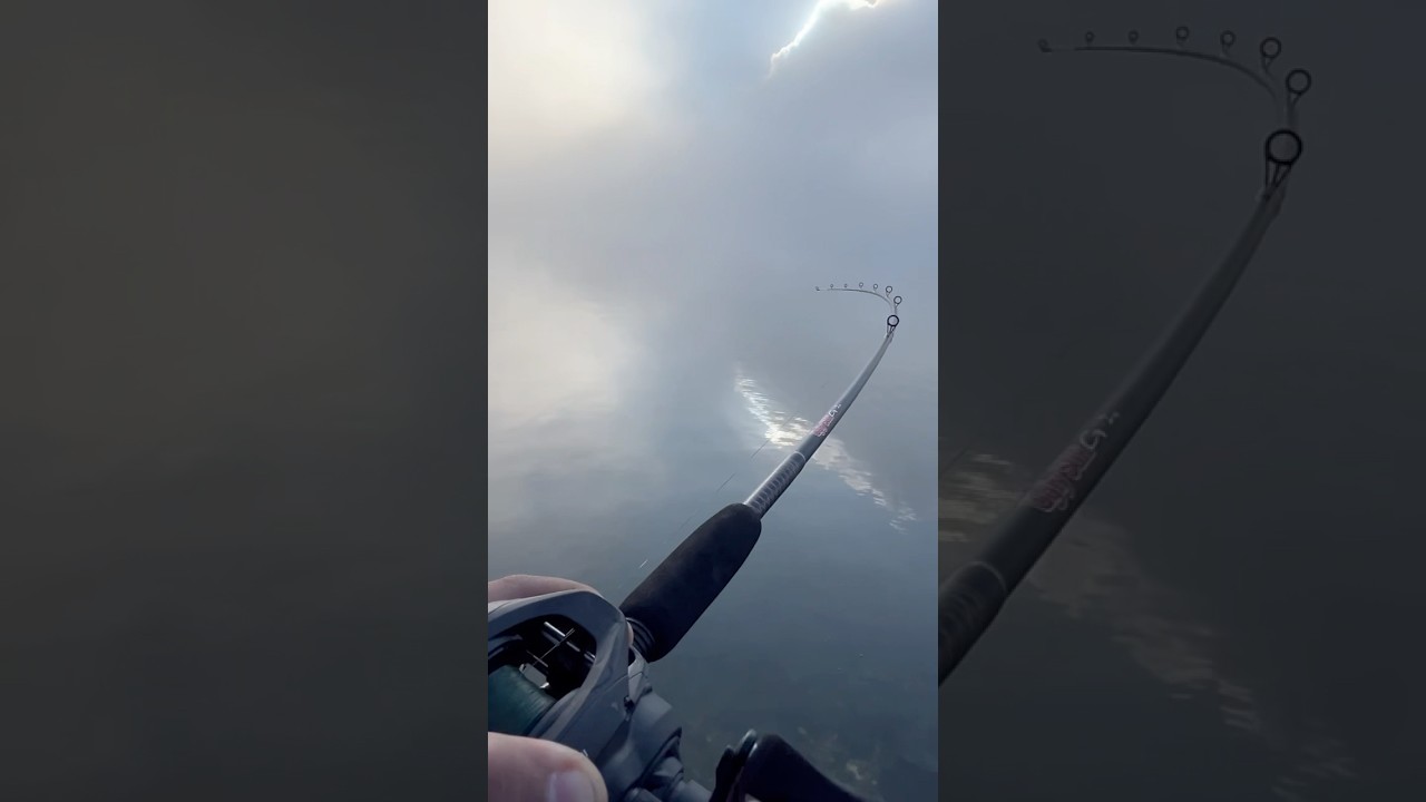 Fishing in heaven 🔥🎣 