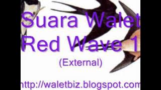 Walet Red Wave 1.wmv