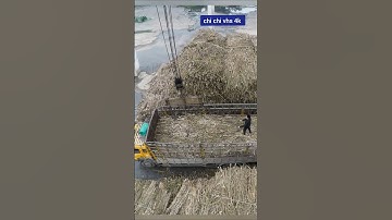 chi tiết kỹ năng lái cẩu trong khu công nghiệp An toàn hiệu quả năng suất cao
