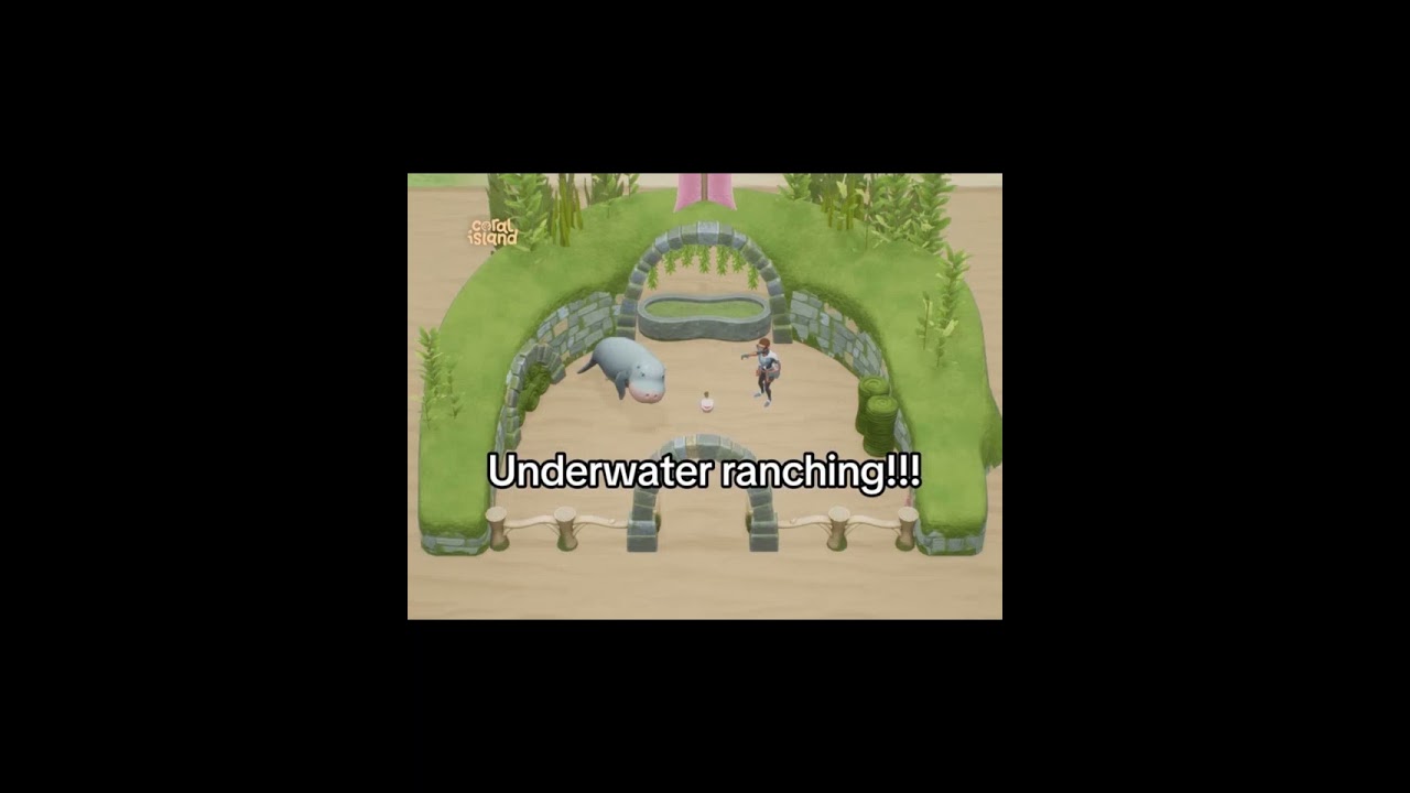 Dive into the details of our exciting 1.1 ocean update.