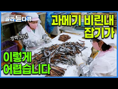 &amp;quot;이 일 진짜로 3년만 더 하고 안하고 싶어요&amp;quot; 대대로 가업을 이어오는 사장님도 혀를 내두르는 작업량｜2톤 분량 청어의 비린 맛을 잡기 위한 복잡한 작업 과정｜극한직업｜#골라듄다큐