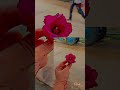 #flower🌸