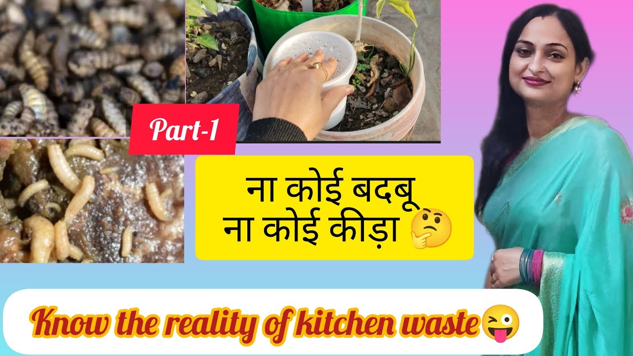 Узнайте правду о кухонных отходах 😜/ Нет запаха, нет насекомых 🤔 #вирусное #садоводство #кухонные...