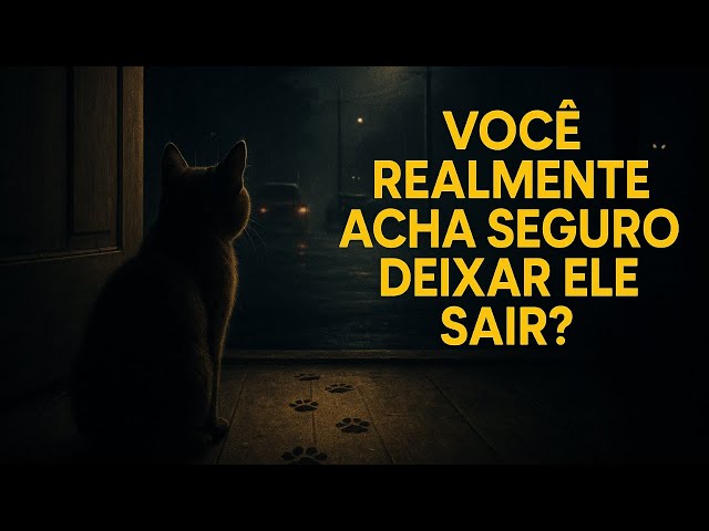 Deixar seu gato sair na rua: liberdade ou risco silencioso?