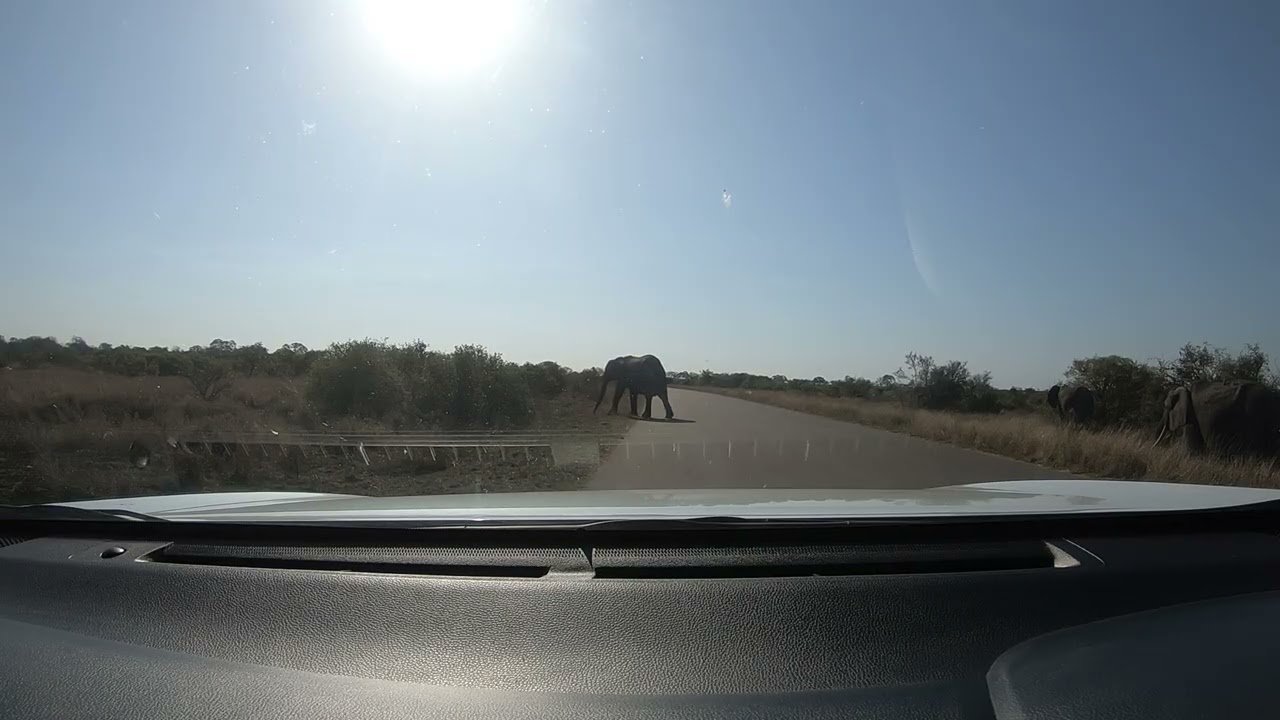 Journey Through South Africa A Road Trip Experience