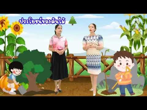 หน่วยต้นไม้ที่รัก เรื่องประโยชน์ของต้นไม้และโทษของการทำลายป่า