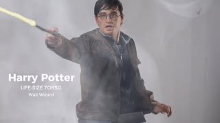 Harry Potter Hyper Realistic Statue