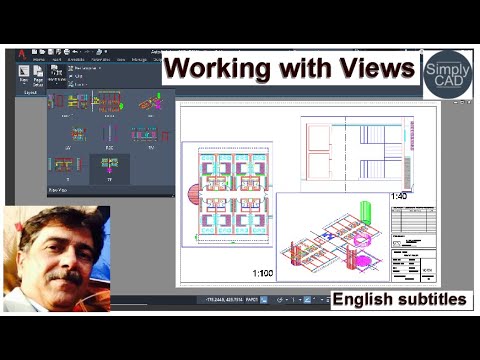 Working with Views & Layout Viewports - YouTube