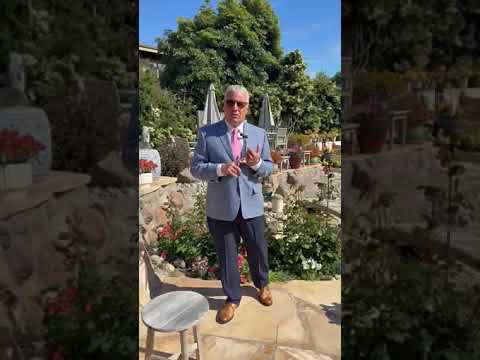 Patrick Baccanari Properties