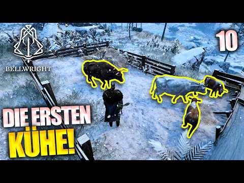 How to get hides regularly! | Bellwright 2026