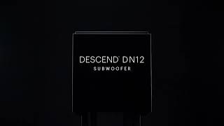 The Definitive Technology Descend DN12 Subwoofer: Reference Level Bass Performance