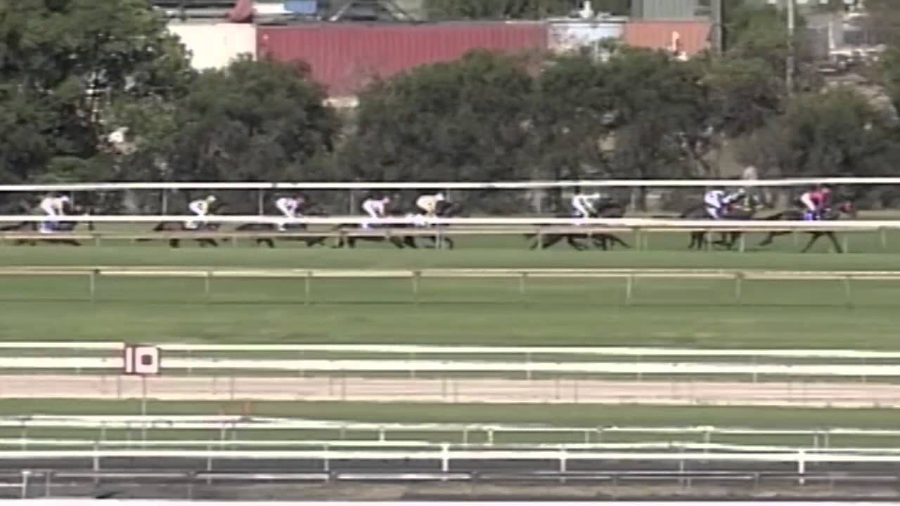 2005 Rosehill Guineas- Eremein