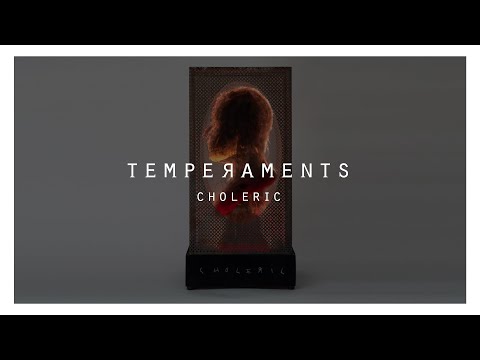 Video: Sådan Bestemmes Temperamenternes Kompatibilitet