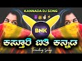 Nandu kasturi aiti kannada dj song 2024  instagram trending song  kannada dj song  shreyas bnk 