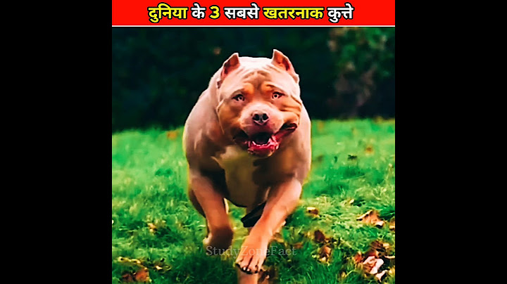 दुनिया के 3 सबसे खतरनाक कुत्ते 😲! 3 Most Dangerous Dogs in The World ! #shorts #ytshorts