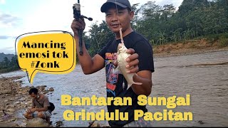 Mancing di Bantaran Sungai Grindulu Pacitan #mancing #sungaigrindulupacitan #pacitan #kalipacitan