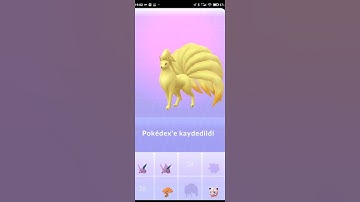 I Evolve a Vulpix to Ninetales