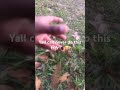 Touch some grass