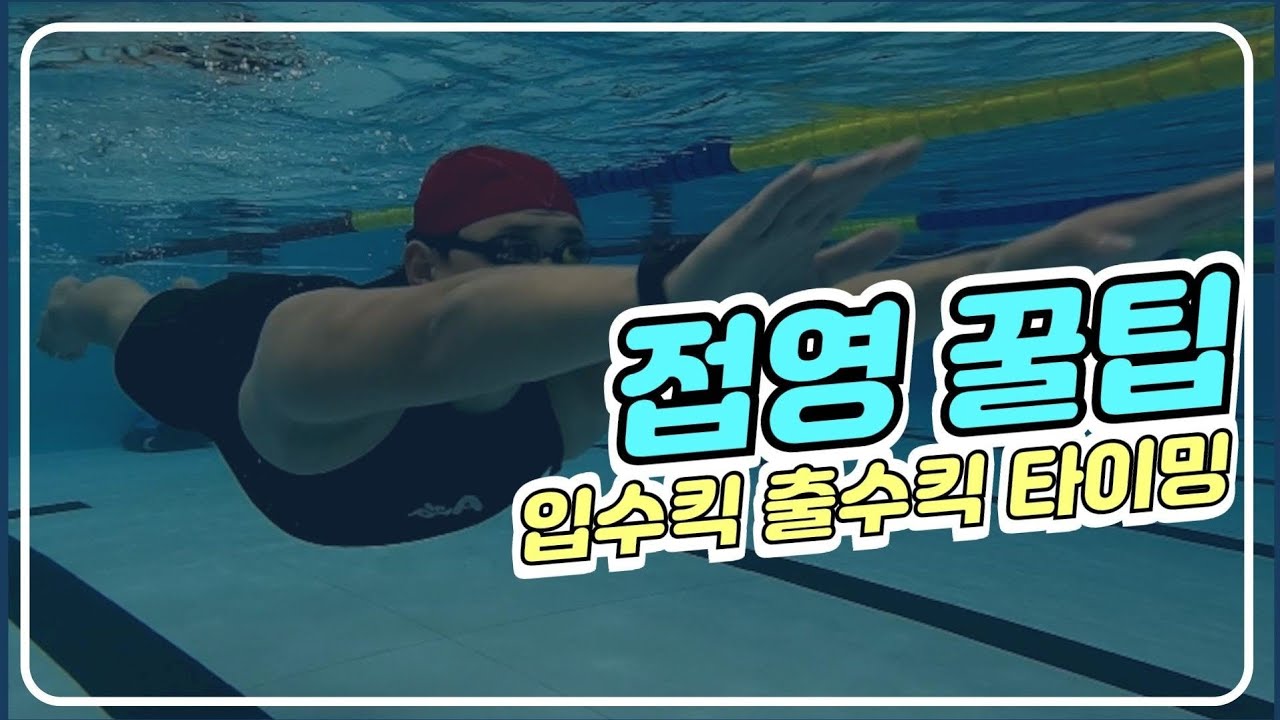 수영하는지씨)접영 입수,출수킥 타이밍꿀팁 공개