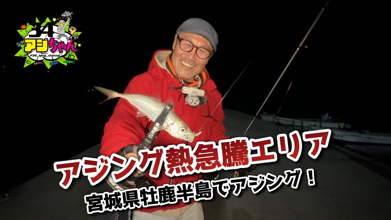 宮城県牡鹿半島でアジング(ライブアーカイブ2025.05.25)