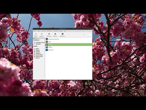 Adobe Photoshop CS6 в Linux mint cinnamon.