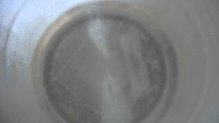 DSCF4331