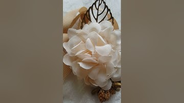 سورة المجادلة سورة الحشر اللهم اجعل القرآن العظيم ربيع قلوبنا ونور صدورنا اللهم أمين