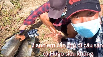 Câu cá chẽm khủng thiên nhiên | lure cá chẽm bằng nhái nhảy và cái kết....!