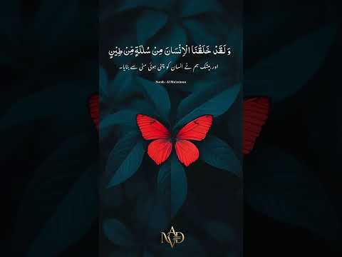 Surah Al Mu’minun 💯 #quran #quranrecitation #surahalmuminun