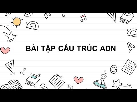 Video Bài tập cấu trúc ADN 1 tiếp theo - youtube