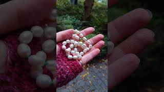 Discover the magic of unique vintage pearl jewelry! ✨