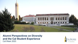 Alumni Perspectives on Diversity and the Cal Student Experience