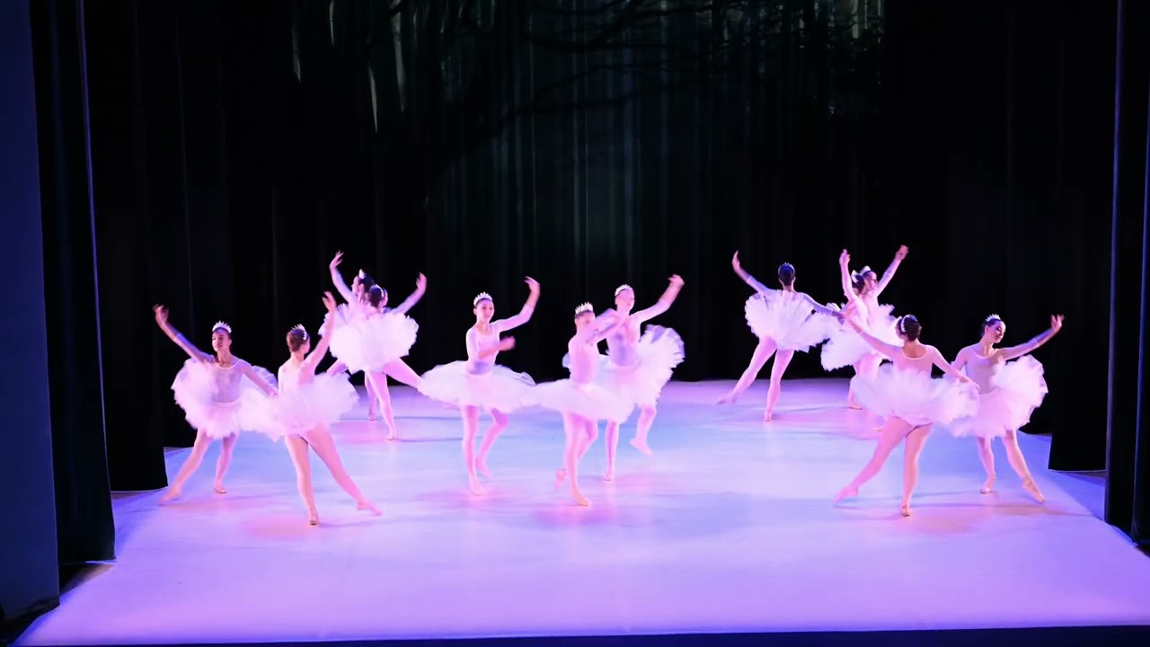 Pluie d'étoiles   Vidéo 1  28 11 2025