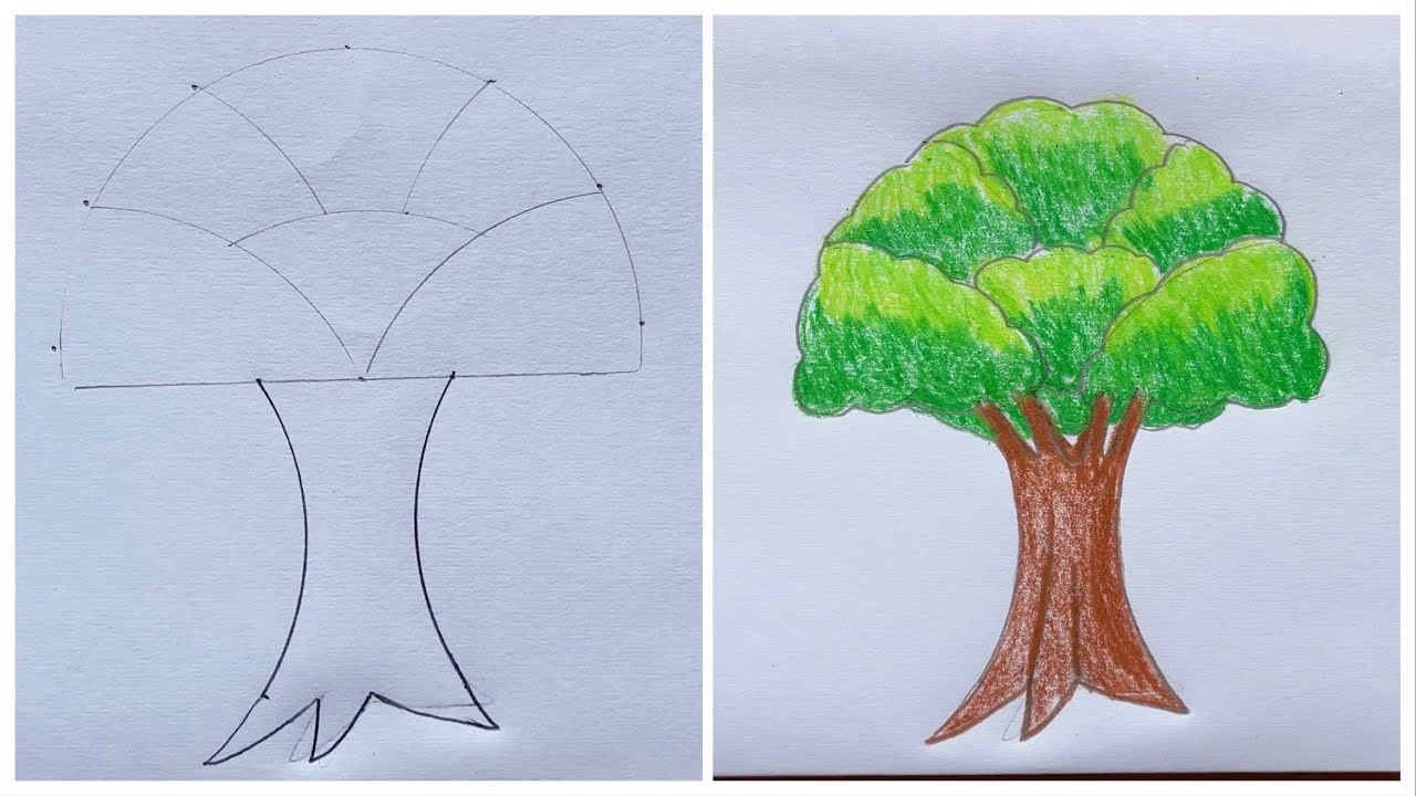 how to draw a tree step by step with geometry box easy | drawing and colour￼￼